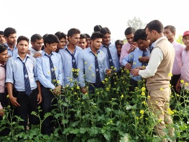 B.ED COLLEGE IN MATHURA, D.EL.ED COURSE IN MATHURA, B.ED COLLEGE IN MATHURA