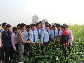 B.ED COLLEGE IN MATHURA, D.EL.ED COURSE IN MATHURA, B.ED COLLEGE IN MATHURA
